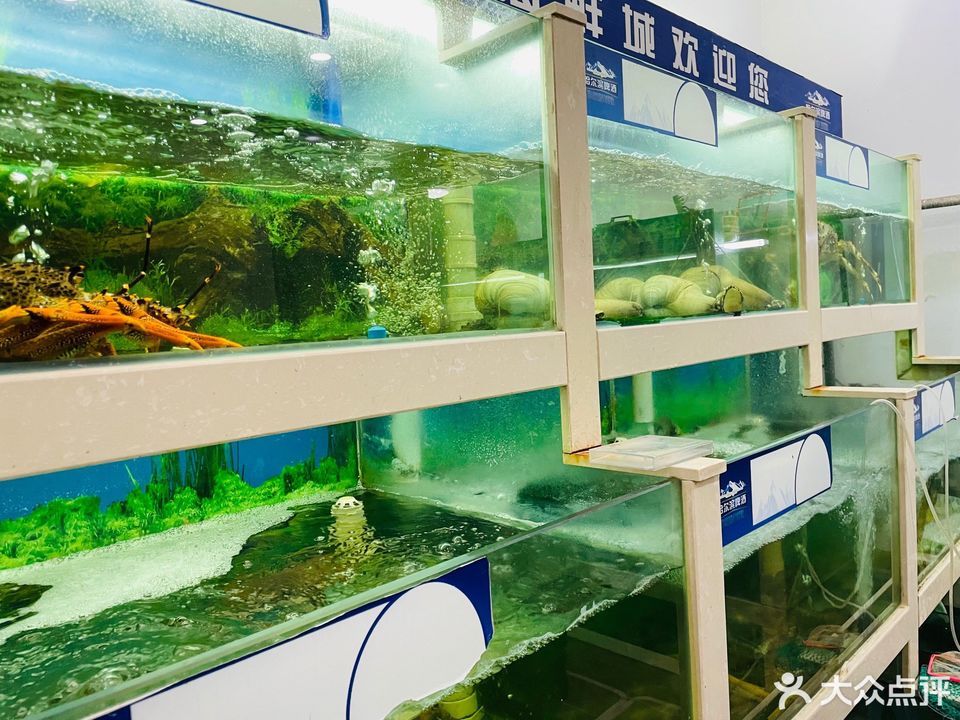 乌海市 餐饮服务 餐馆 > 温州海鲜城(建设路店)推荐菜:分类:餐馆;餐饮