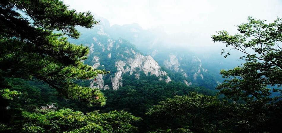                      小黄山风景
