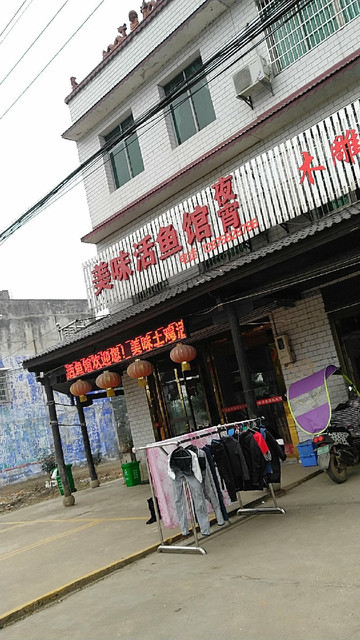 美味活魚館圖片