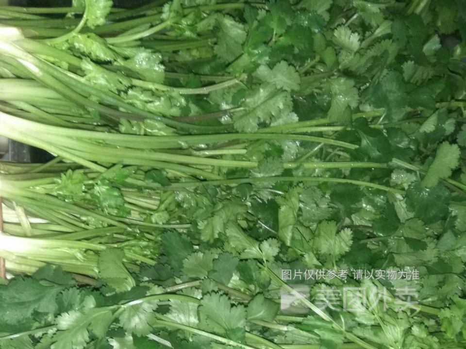 香菜图片