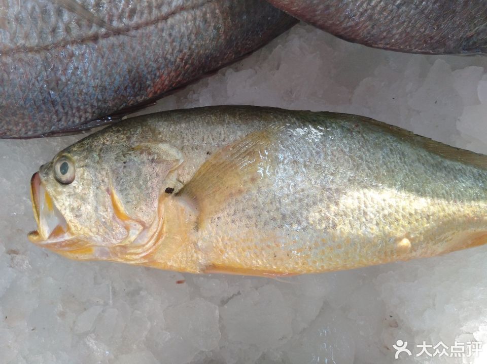 扇贝推荐菜:鹏旎海鲜位于烟台市莱阳市五龙北路55-12号