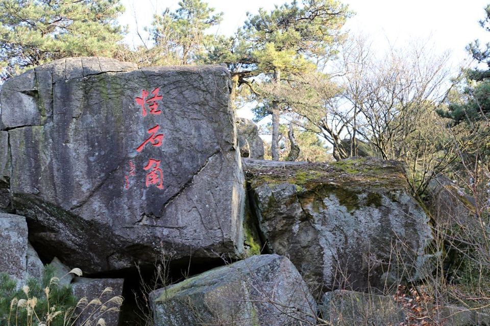 (位置,怎么去,怎么走,在哪,在哪里,在哪儿):湖州市德清县莫干山镇电话