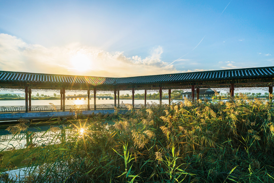 大庆市龙凤公园