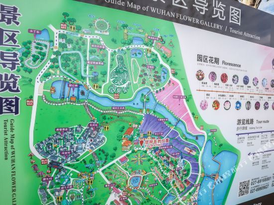怎么去,怎么走,在哪,在哪里,在哪儿):武汉市蔡甸区天星村1号花博会