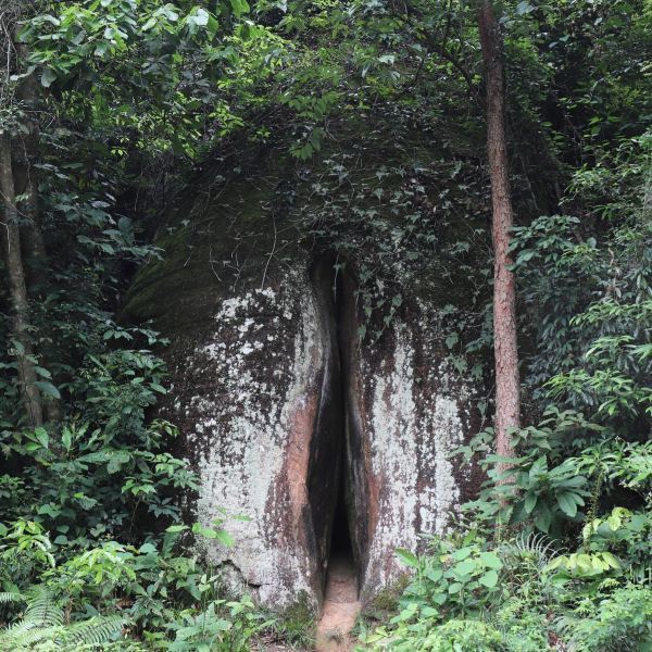 阴元石