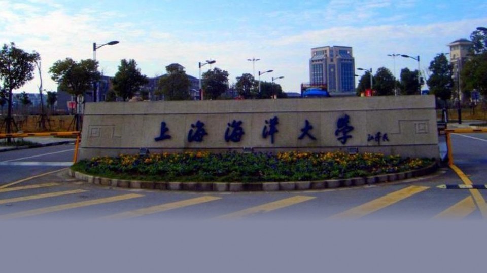 上海海洋大学临港校区图片