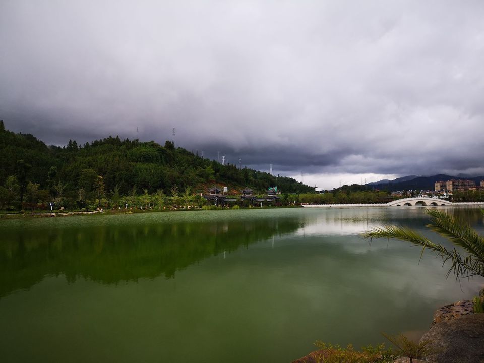 高黎貢山植物園高黎貢山茶博園鶴慶草海溼地騰衝高黎貢山植物園騰衝