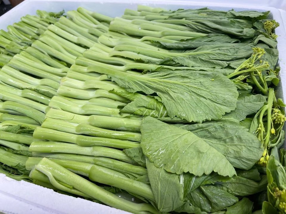 鲜菜到家(厚街杨记鱼档店)