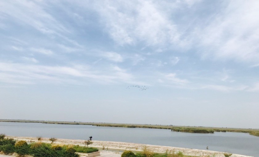                  七里海郊野公园