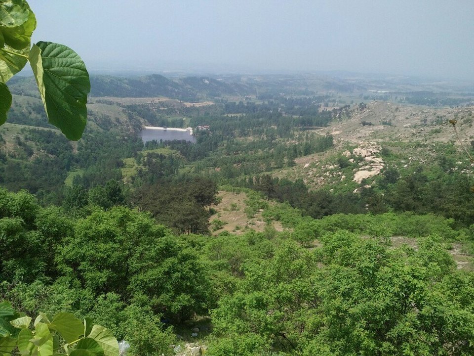 怎樣,好不好,口碑):我自獨行獨行客:石柱山森林公園位於唐河