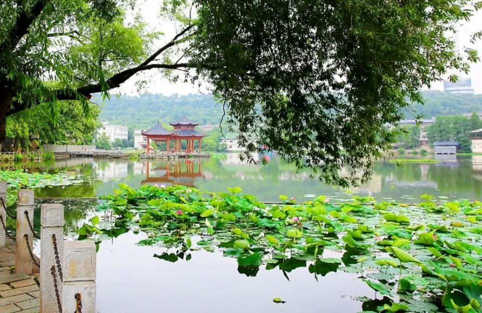 銅陵市 > 酒埕巖仙人寨風景區地址(位置,怎麼去,怎麼走,在哪,在哪裡