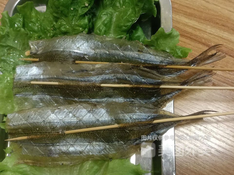 馬步魚圖片