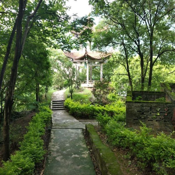 青山公园