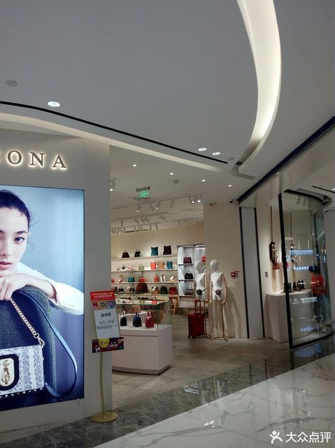 迪桑娜女包专厅图片