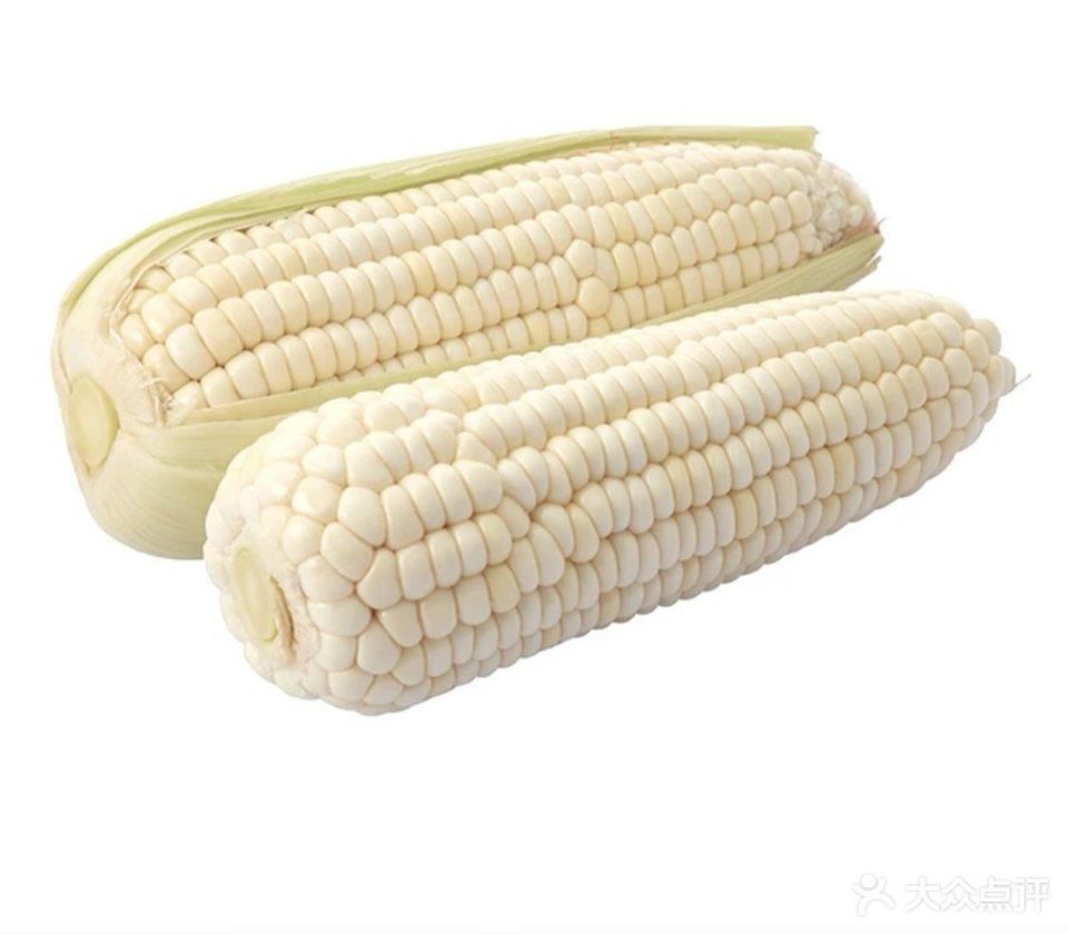 白糯玉米图片