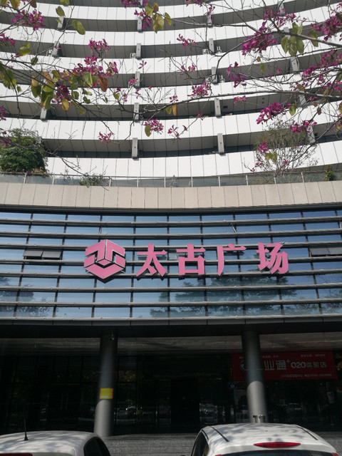 嘉泰和观景大红袍