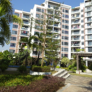 金众蓝钻风景图片