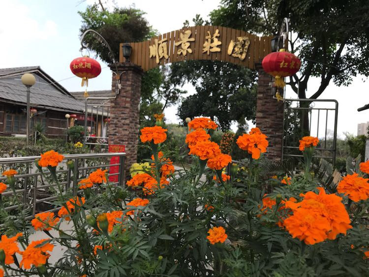 张槎生态园美食城电话图片