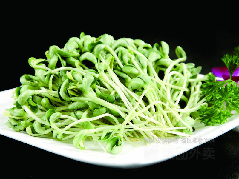 青豆苗