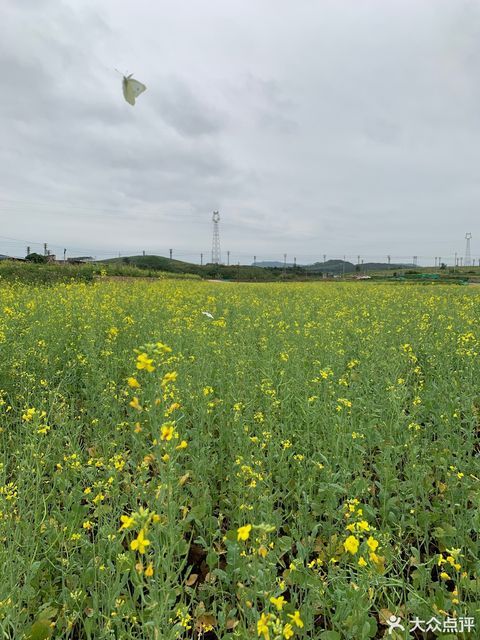 查看南宁明阳农场_360地图搜索结果列表