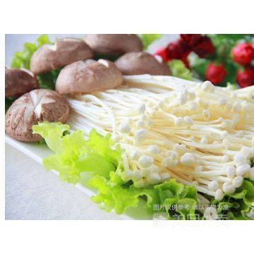 香菇金针菇菌菇拼盘图片