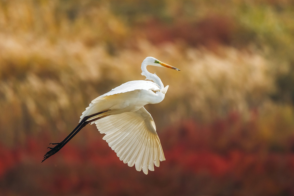 中国长乐海蚌公园