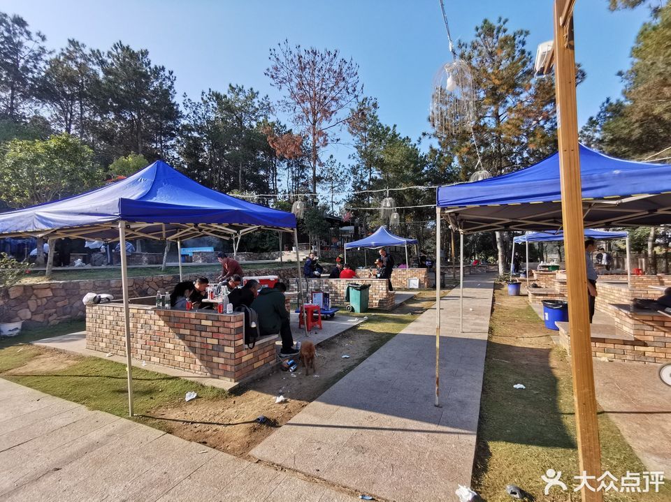 木兰草原烧烤露营