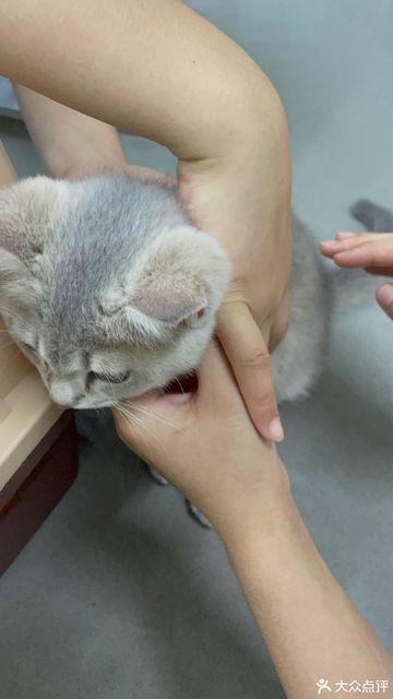 上海领华动物医院