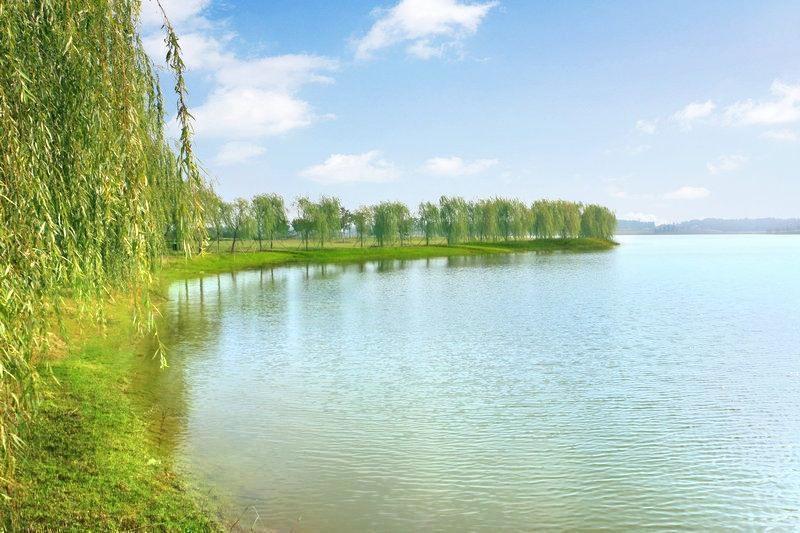 灌南县硕项湖湿地公园