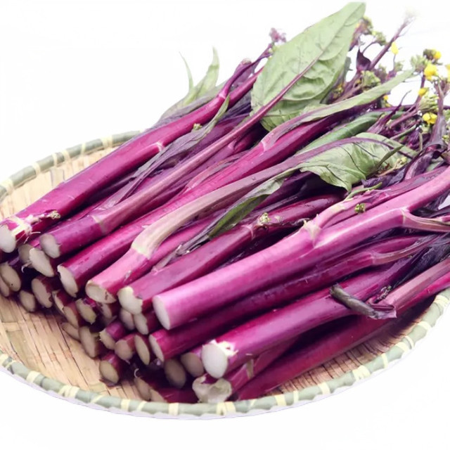 新鲜红菜心图片