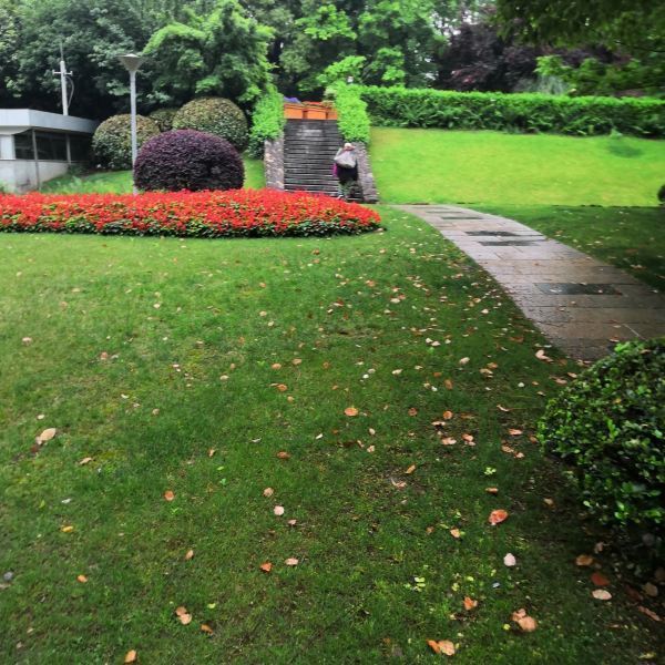 【华漕公园】华漕公园地址,华漕公园电话,华漕公园图片_360地图