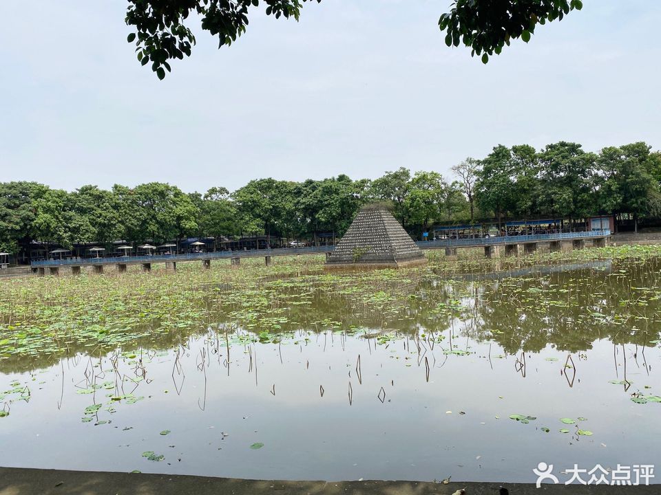 碧海山庄双黄路