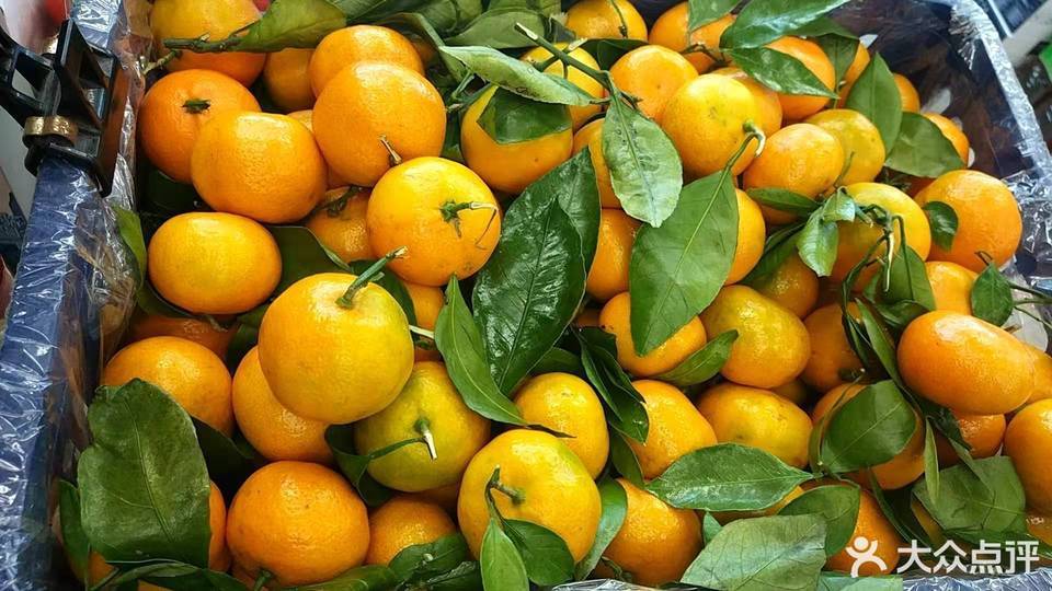 胜利果实运河店