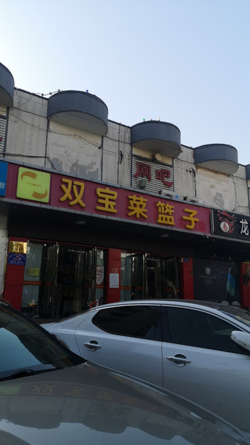 双宝菜篮子图片