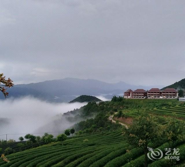 双江云顶筑巢茶庄园酒店