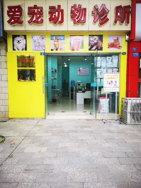       康泰宠物美容康泰宠物诊所