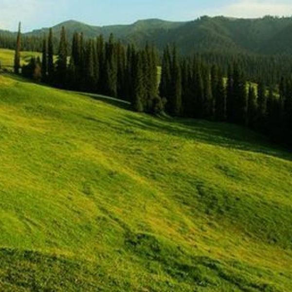 石门沟草原公园