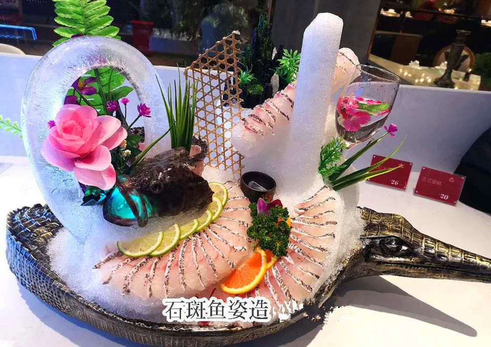 石斑鱼姿造图片