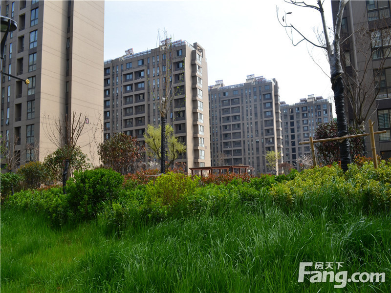 郯城中央华庭7号楼