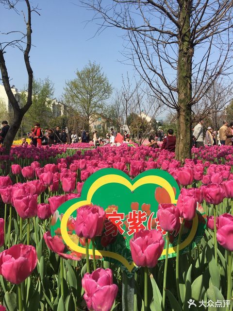 安吉县营盘山体育公园