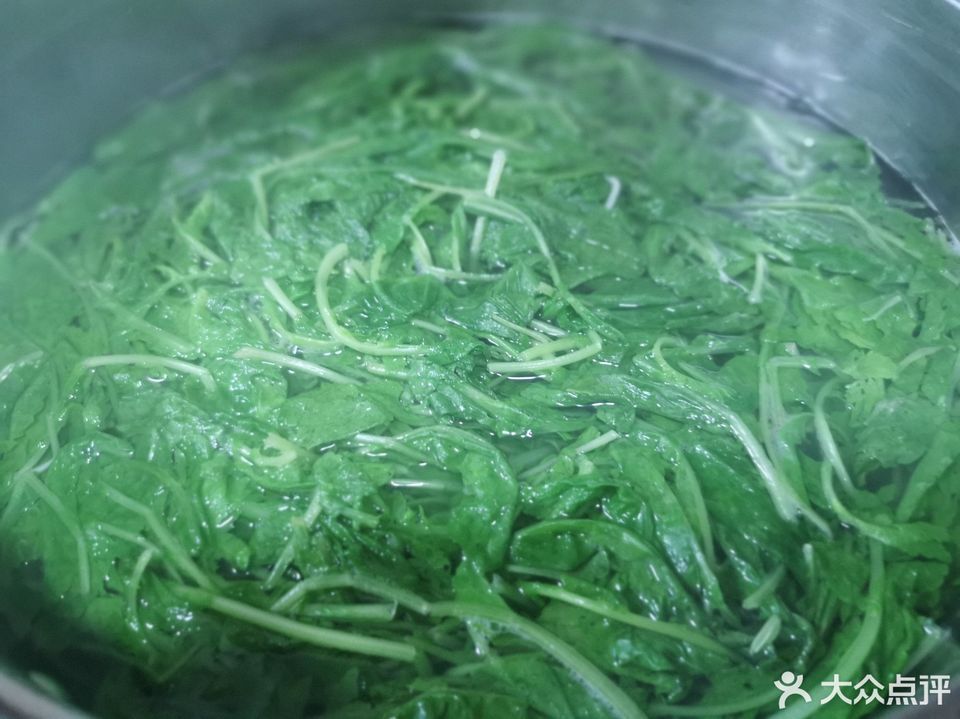 水煮萝卜菜图片