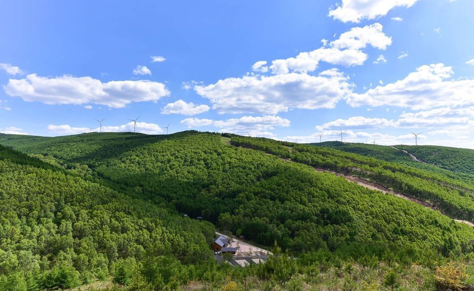 张家口桦皮岭景区