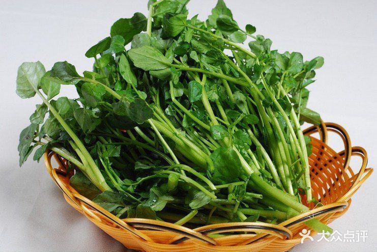 潮汕西洋菜图片