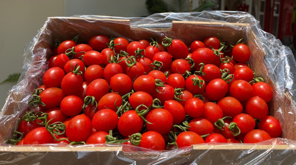 韩国小甜甜千禧图片