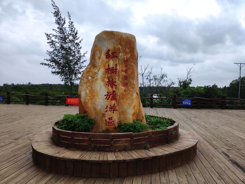 东寨港红树林