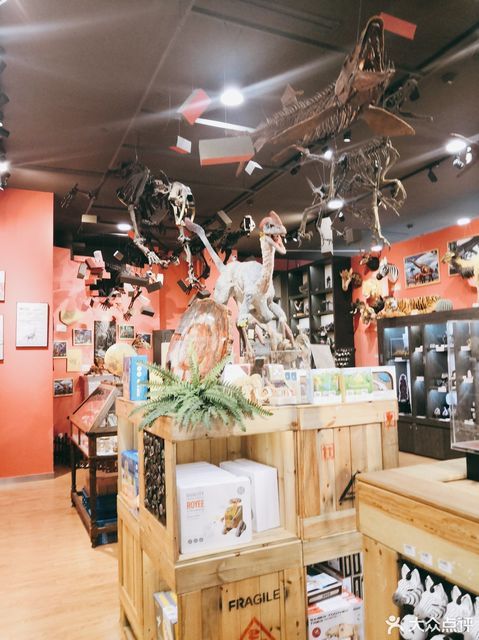 自然博物馆-礼品馆图片