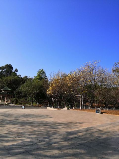 【华南农业大学湿地公园】华南农业大学湿地公园门票,华南农业大学湿