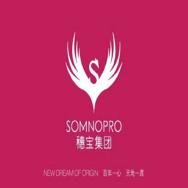 穗宝床垫(盛源大地家居城店)