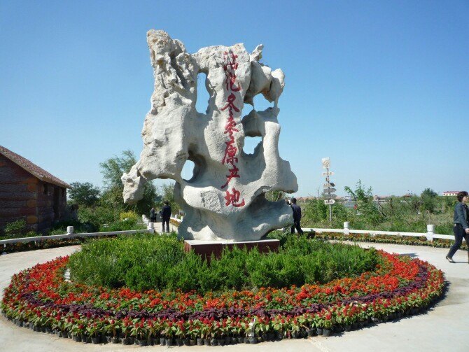 沾化冬枣生态旅游区图片