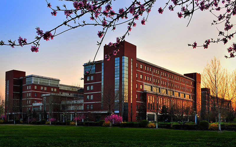 河北大学校本部